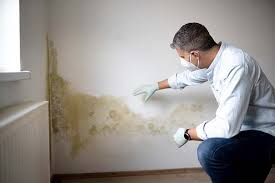 Best Asbestos and Lead Testing During Mold Inspection  in Virden, IL